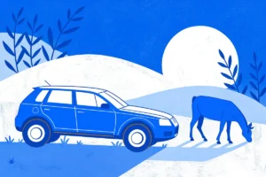 Voiture qui broute : causes, diagnostic et prévention